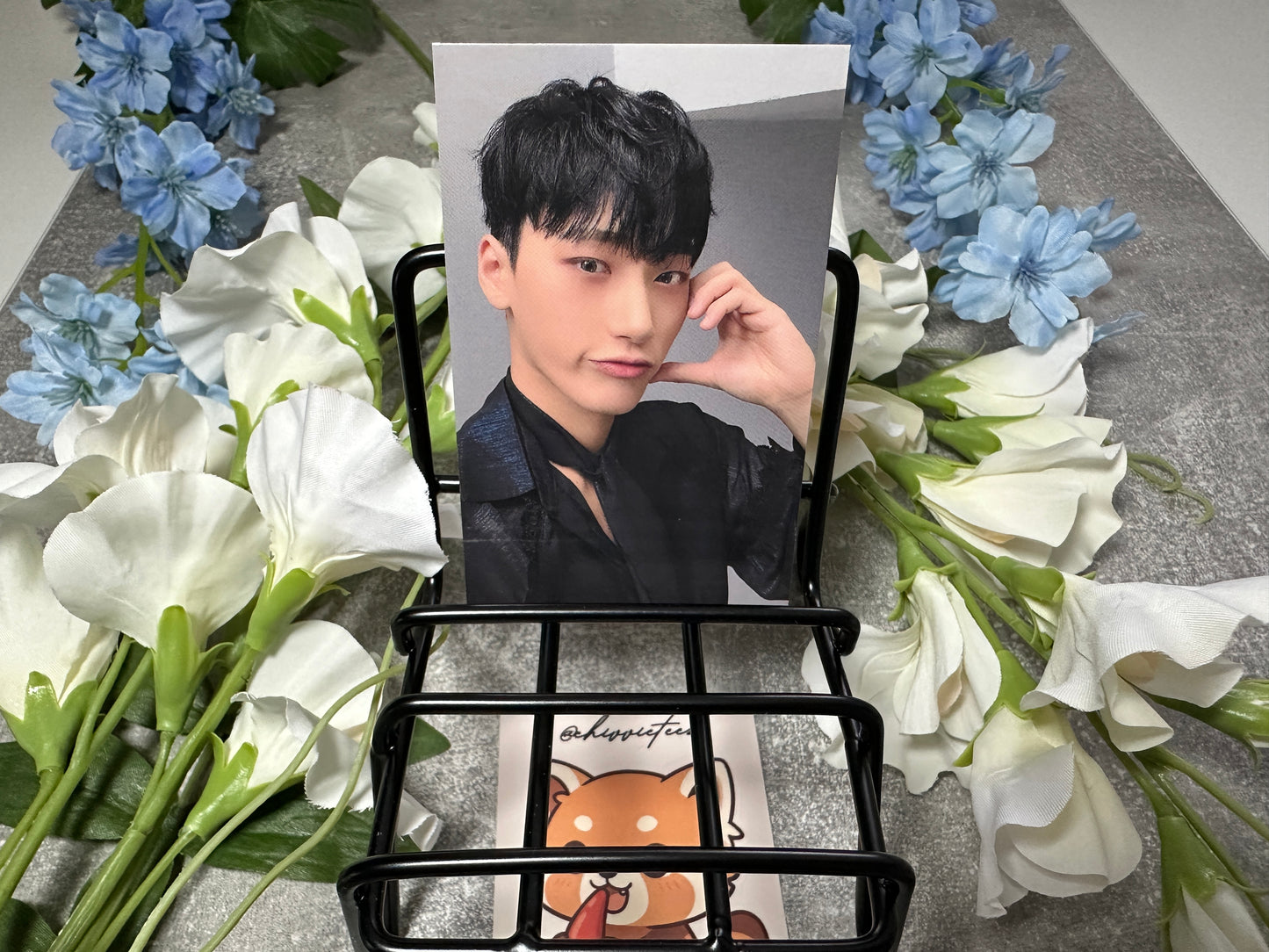 ATEEZ Official Japanese Album Photocards & POBs