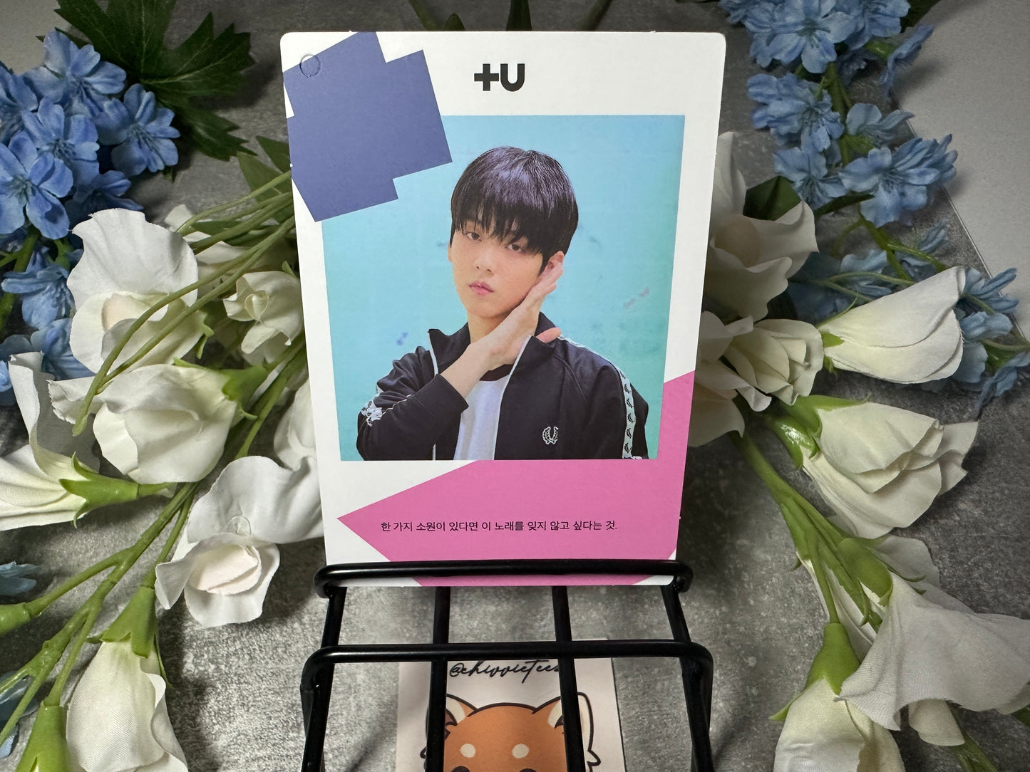 TXT Official Album Photocards