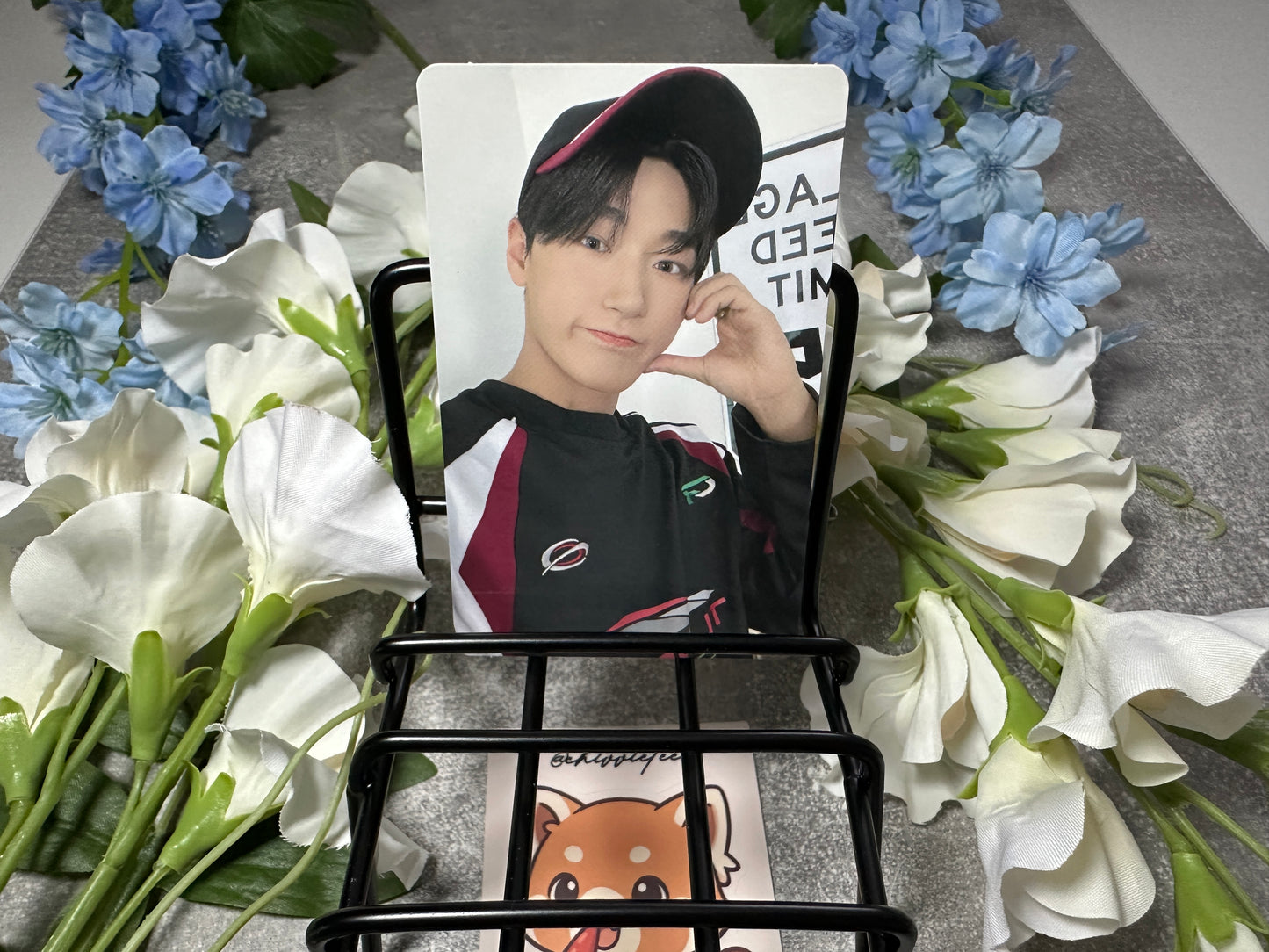 ATEEZ Official Japanese Album Photocards & POBs