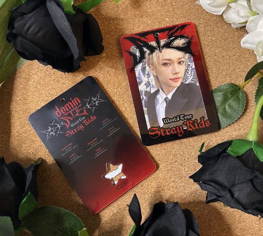 SKZ "DominATE World Tour Europe" Acrylic Photocard Holder